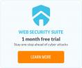 web security