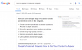 Example of features snippet - Google