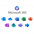 Ms 365 group
